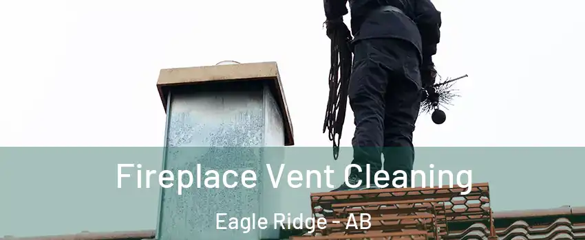  Fireplace Vent Cleaning Eagle Ridge - AB