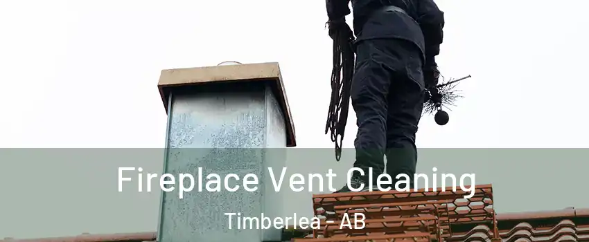  Fireplace Vent Cleaning Timberlea - AB