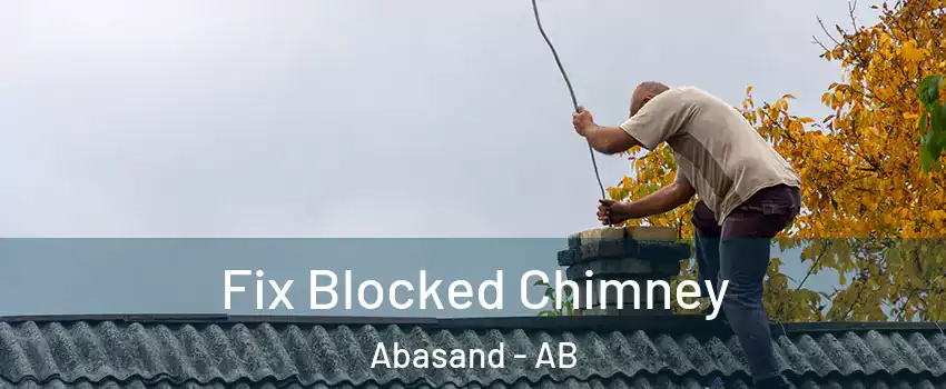  Fix Blocked Chimney Abasand - AB