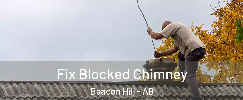 Fix Blocked Chimney Beacon Hill - AB