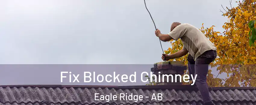  Fix Blocked Chimney Eagle Ridge - AB