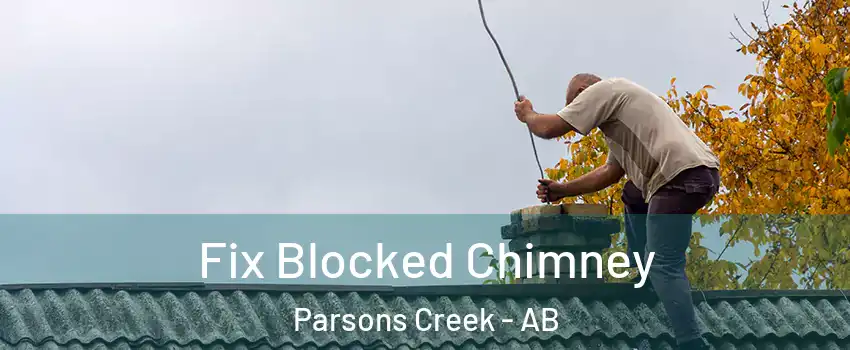  Fix Blocked Chimney Parsons Creek - AB