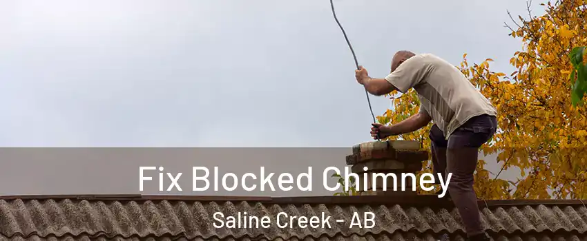  Fix Blocked Chimney Saline Creek - AB