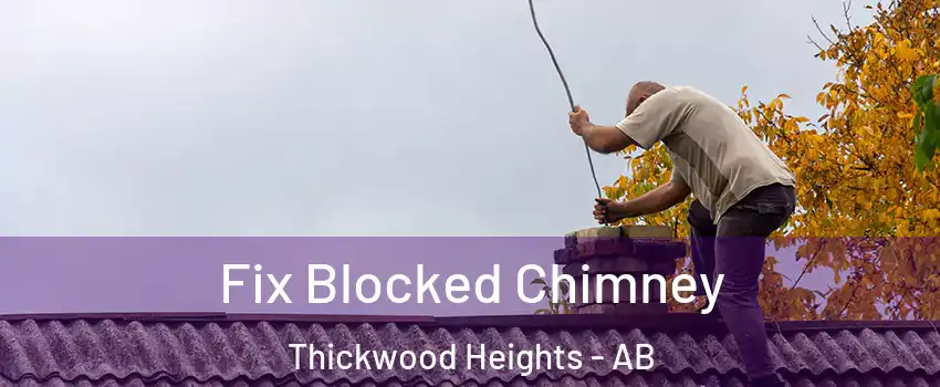  Fix Blocked Chimney Thickwood Heights - AB