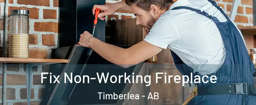  Fix Non-Working Fireplace Timberlea - AB