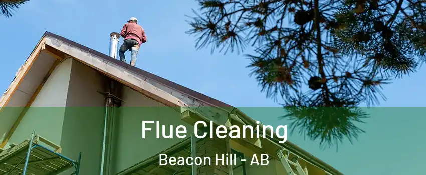  Flue Cleaning Beacon Hill - AB
