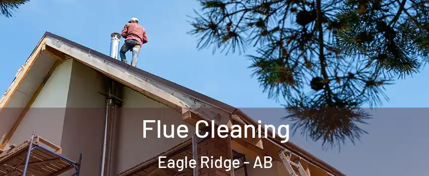  Flue Cleaning Eagle Ridge - AB