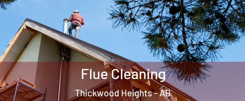  Flue Cleaning Thickwood Heights - AB