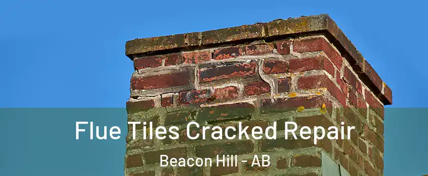  Flue Tiles Cracked Repair Beacon Hill - AB