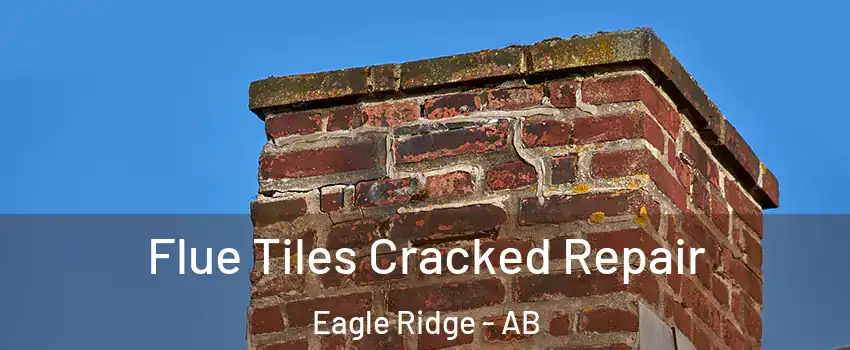  Flue Tiles Cracked Repair Eagle Ridge - AB