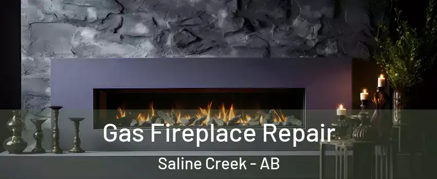  Gas Fireplace Repair Saline Creek - AB
