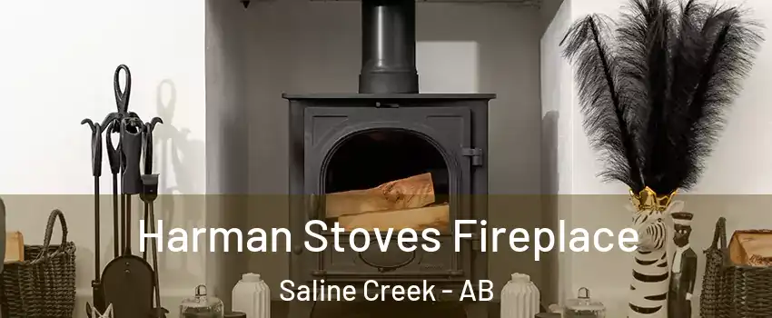  Harman Stoves Fireplace Saline Creek - AB