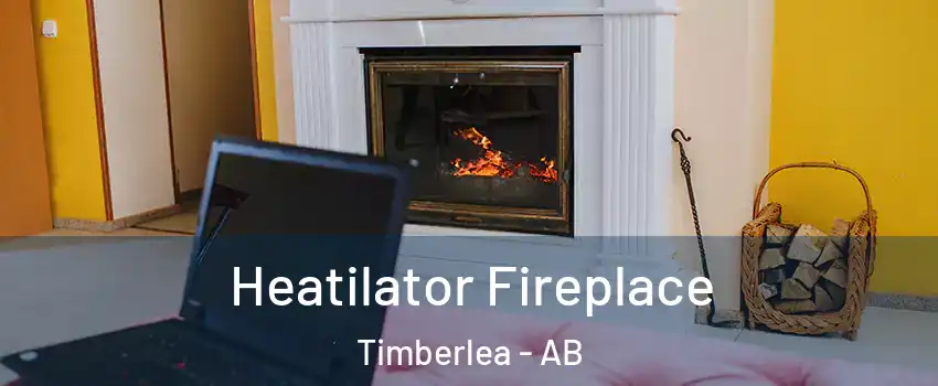  Heatilator Fireplace Timberlea - AB