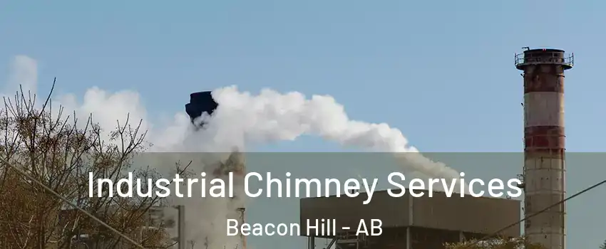  Industrial Chimney Services Beacon Hill - AB