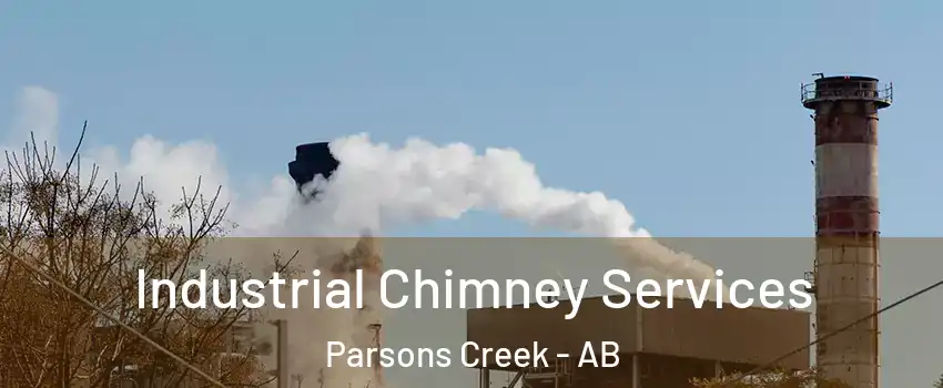 Industrial Chimney Services Parsons Creek - AB