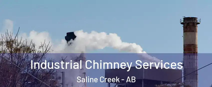  Industrial Chimney Services Saline Creek - AB