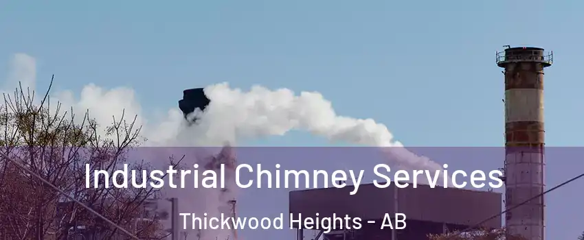  Industrial Chimney Services Thickwood Heights - AB