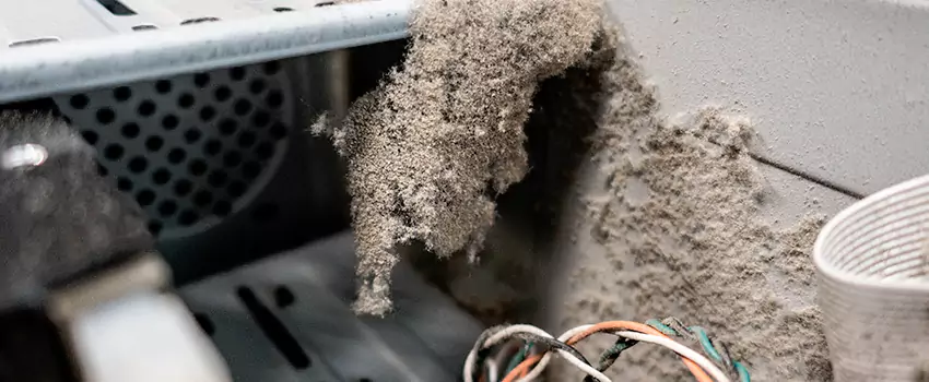 Clogged Dryer Vent Lint Cleaning in Wood Buffalo, Alberta