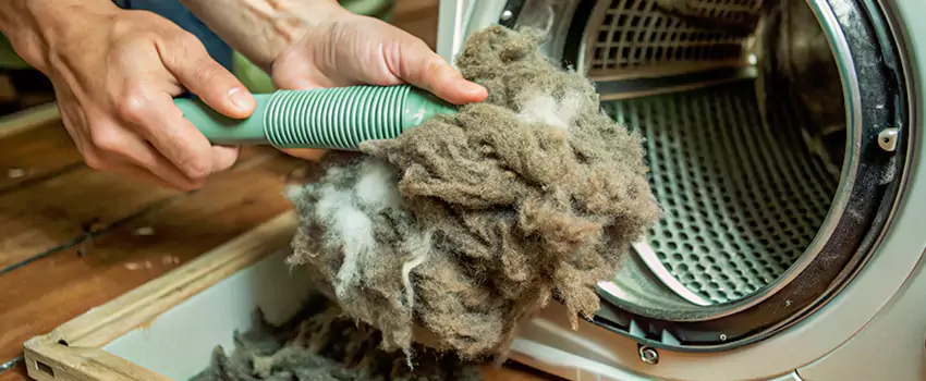 Best Dryer Lint Removal Company in Wood Buffalo, Alberta