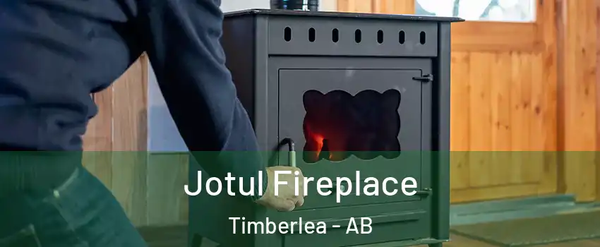  Jotul Fireplace Timberlea - AB