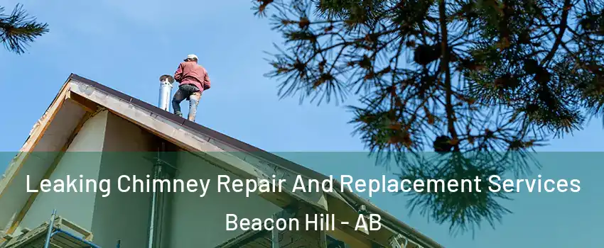  Leaking Chimney Repair And Replacement Services Beacon Hill - AB