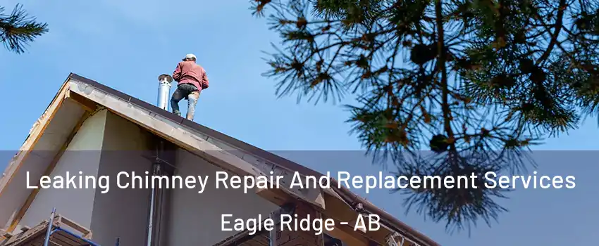  Leaking Chimney Repair And Replacement Services Eagle Ridge - AB