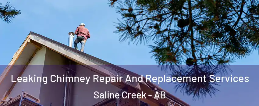  Leaking Chimney Repair And Replacement Services Saline Creek - AB