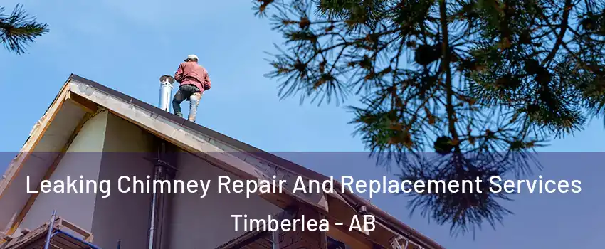  Leaking Chimney Repair And Replacement Services Timberlea - AB