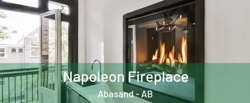  Napoleon Fireplace Abasand - AB