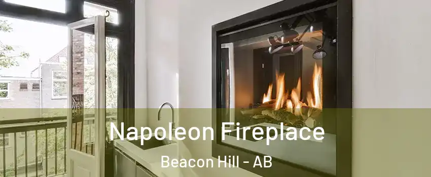  Napoleon Fireplace Beacon Hill - AB