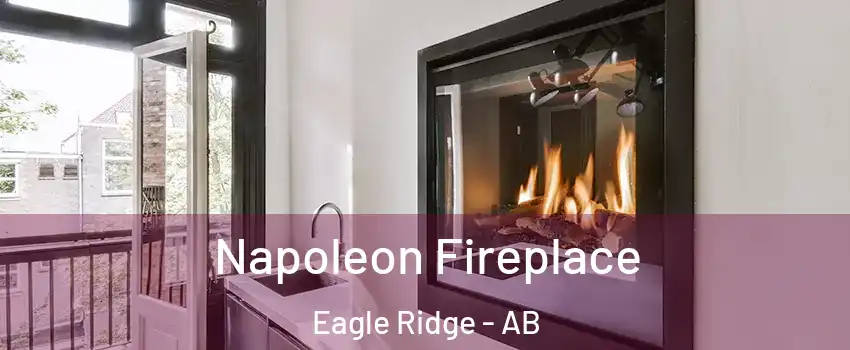  Napoleon Fireplace Eagle Ridge - AB