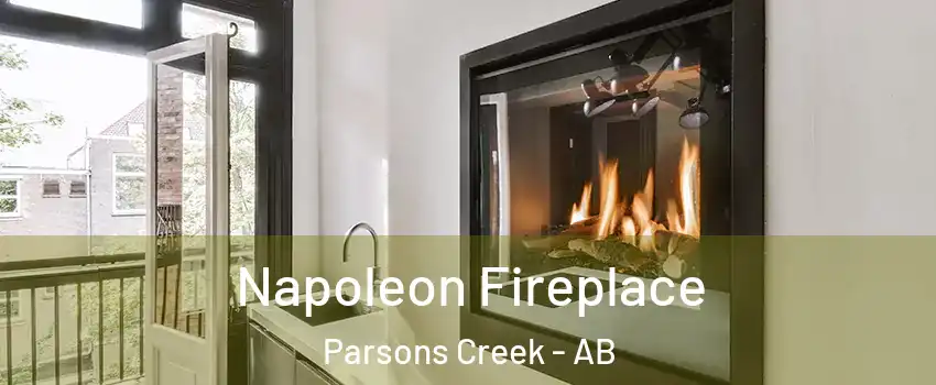  Napoleon Fireplace Parsons Creek - AB