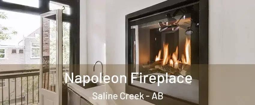  Napoleon Fireplace Saline Creek - AB