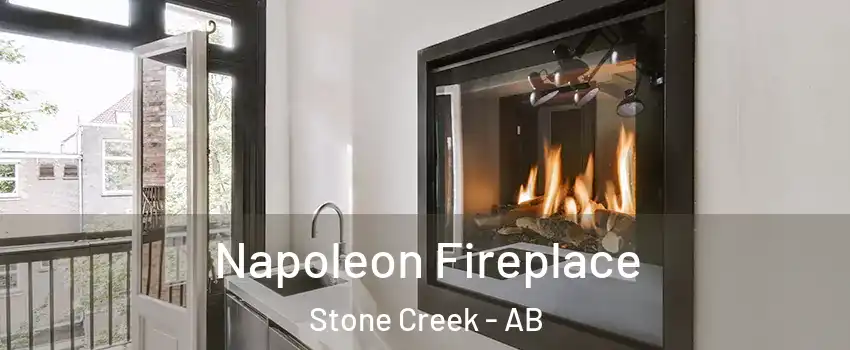  Napoleon Fireplace Stone Creek - AB