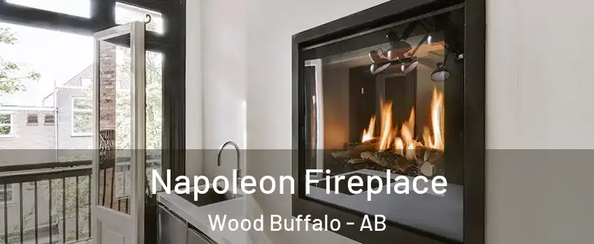  Napoleon Fireplace Wood Buffalo - AB