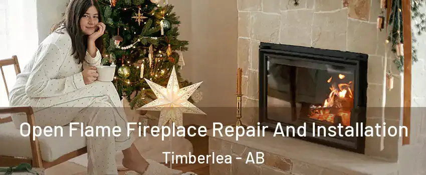  Open Flame Fireplace Repair And Installation Timberlea - AB