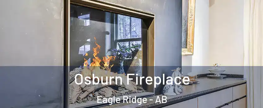  Osburn Fireplace Eagle Ridge - AB