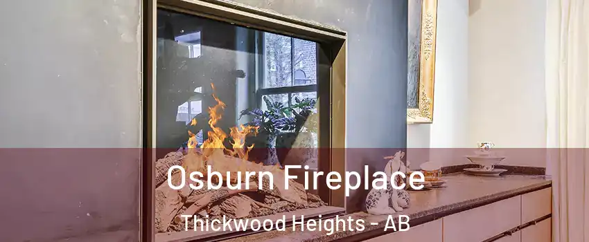  Osburn Fireplace Thickwood Heights - AB