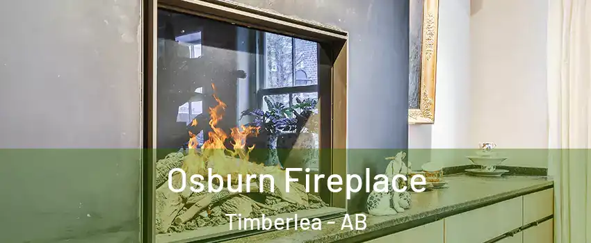  Osburn Fireplace Timberlea - AB