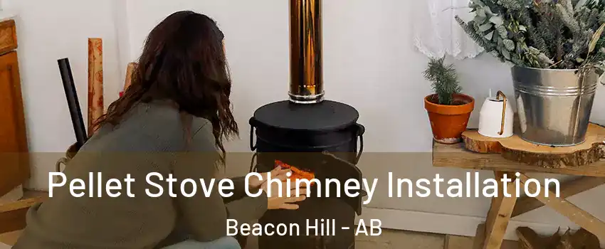  Pellet Stove Chimney Installation Beacon Hill - AB