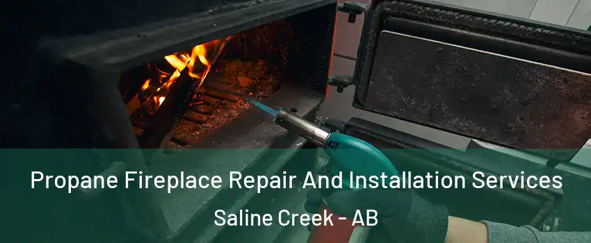  Propane Fireplace Repair And Installation Services Saline Creek - AB
