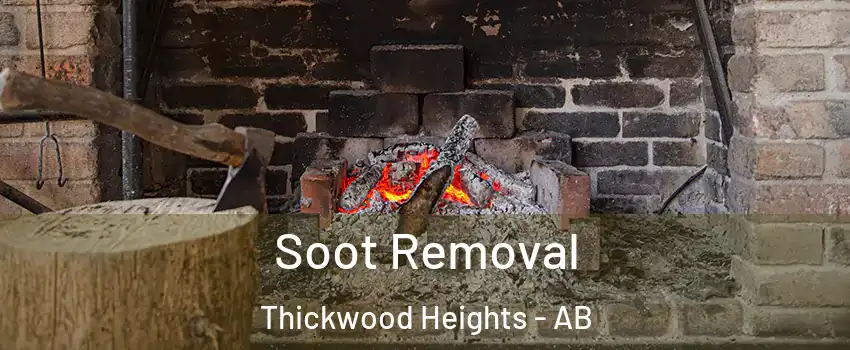  Soot Removal Thickwood Heights - AB