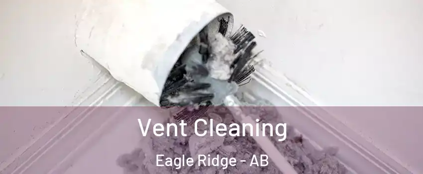  Vent Cleaning Eagle Ridge - AB