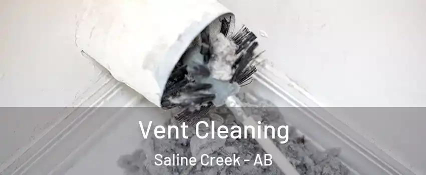  Vent Cleaning Saline Creek - AB