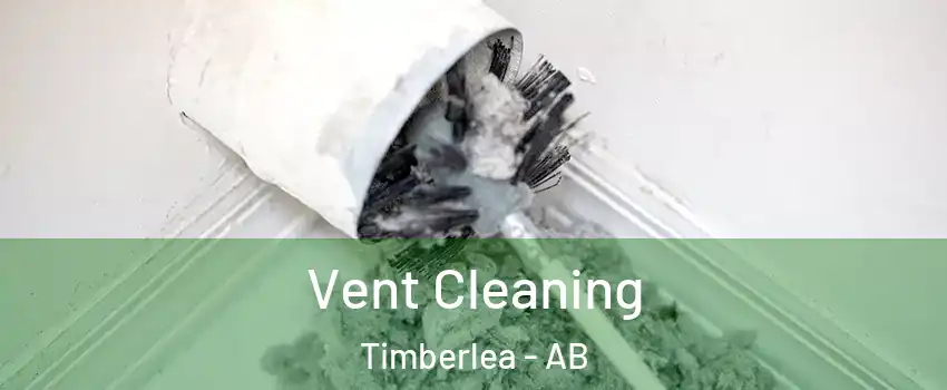  Vent Cleaning Timberlea - AB