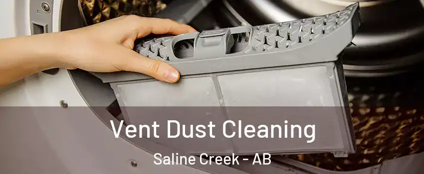  Vent Dust Cleaning Saline Creek - AB