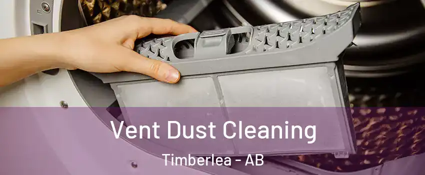  Vent Dust Cleaning Timberlea - AB