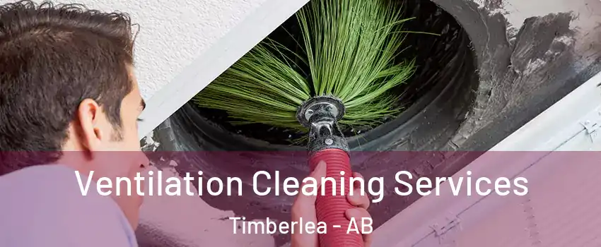  Ventilation Cleaning Services Timberlea - AB