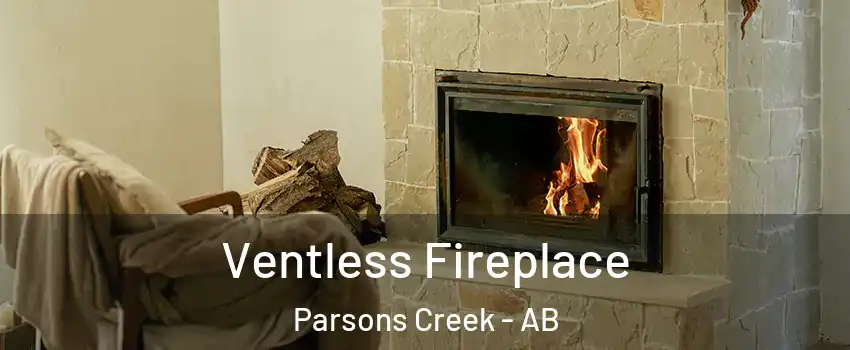  Ventless Fireplace Parsons Creek - AB