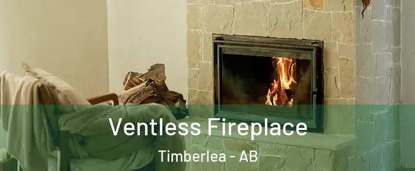 Ventless Fireplace Timberlea - AB